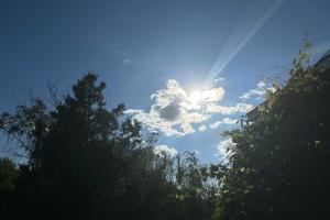 30 июня астраханцев ждет солнечная погода