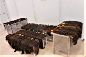 Таможенники задержали иностранку с крупной партией человеческих волос