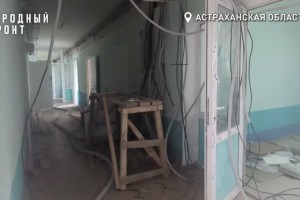 По больнице в селе Марфино вместо больных бегают кошки и собаки