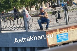 В Астраханской области резко снизились запасы сельди: ее лов могут запретить?