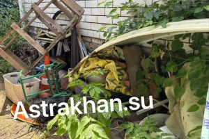 Астраханцам рассказали, как избежать встречи с ядовитыми пауками
