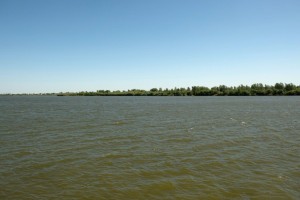 Стало известно, сколько воды будет получать Астраханская область в ближайший месяц