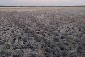 В Астраханской области села засыхают из-за обезвоживания ильменей