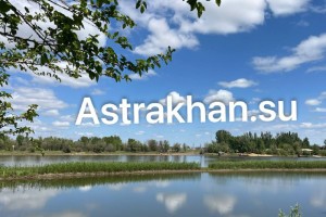 Рыбы нет и не будет: итоги паводка в Астраханской области