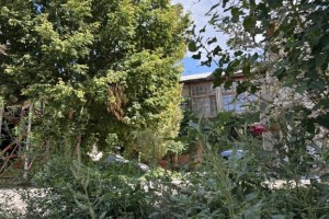 Аллергия в августе: астраханцы задыхаются от пыльцы
