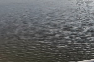 В Астраханской области утонул 57-летний мужчина из Волгограда