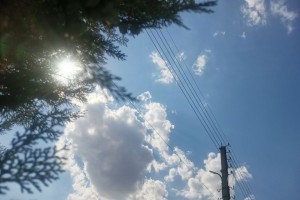 9 сентября в Астрахани будет тепло и солнечно