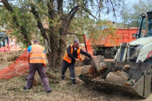 В Астрахани убрали почти 70 тонн мусора за выходные с городских улиц