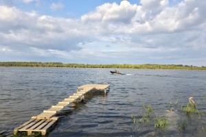 Завтра в Астраханской области стартует сезон охоты. Как подготовиться?