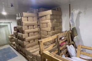 У астраханцев изъяли 14 тонн незаконно добытой рыбы