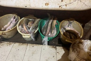 Необычную находку изъяли полицейские у рискового астраханца