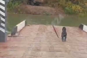 В Астраханской области паром занимался частным извозом, рискуя жизнью больного человека