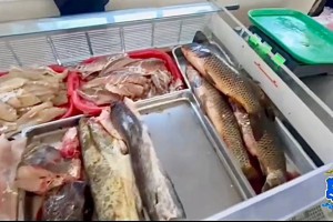 В Астрахани полицейские изъяли рыбу, алкоголь и одежду