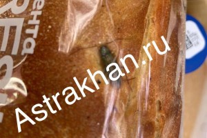 В Астрахани освоили метод выпечки хлеба с высоким содержанием белка