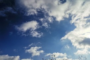 19 октября в Астраханской области будет ветрено