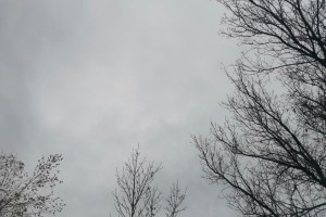 29 октября в Астраханской области ожидается дождь и туман