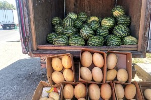 Астраханец отдал мошеннику 20 тонн арбузов и 7 тонн дынь