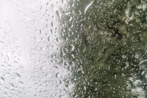 Завтра вечером в Астраханской области ожидается дождь