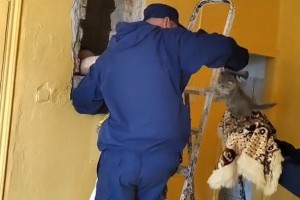 Астраханские спасатели установили причину жутких звуков в одной из школ