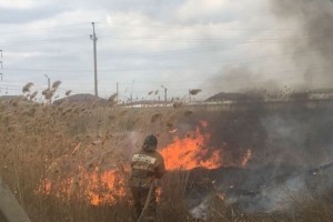 В Астрахани снова горит сухой камыш