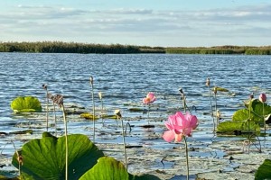 Астраханцев приглашают отметить Всемирный день туризма